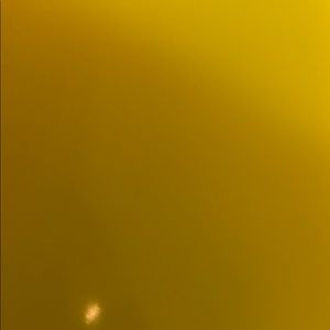 Meet your Posher, Isabelle